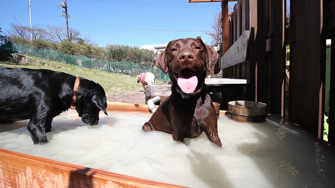 【08】【愛犬と一緒！】 【記念日】ご安心ください！初めてお泊り愛犬旅行コンシェルシ゛ュ